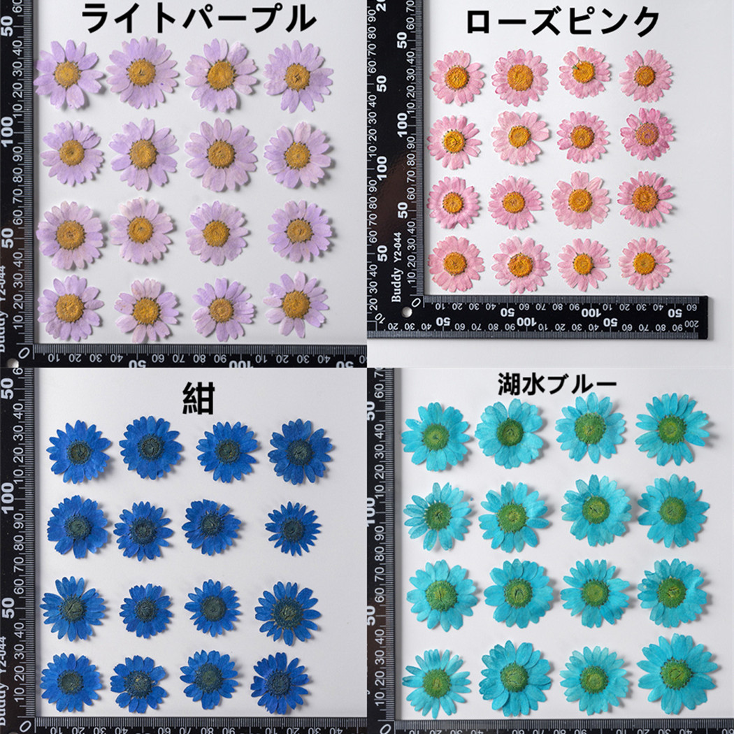 レジン ドライフラワー 花材 封入パーツ デコ電 アクセサリーパーツ