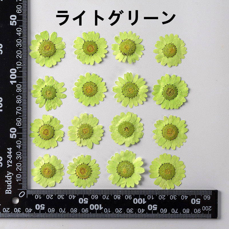 レジン ドライフラワー 花材 封入パーツ デコ電 アクセサリーパーツ