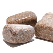 【現品限り】原石　ダイナソーボーン　約4〜6cm　アメリカ産　1個　パワーストーン　天然石