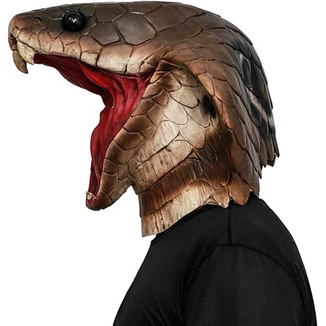 本物のヘビの皮 コブラの置物 高さ約60cm マスク コブラマン コブラマスク