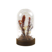 ☆ＬＥＤドライフラワードームライト　トール　ジュエルウィード