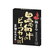 三田屋総本家 黒毛和牛のビーフカレーＤＸ 220gx10