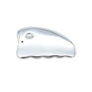 テラヘルツカッサプレート