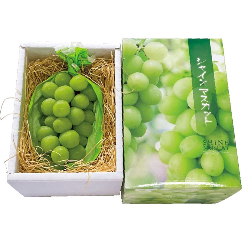 シャインマスカット 大粒1房(400g以上)【直送品】 送料無料 シャインマスカット 大粒1房(400g以上)【直送品】 送料無料
