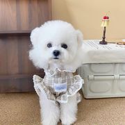 春夏新作　犬服　犬　犬の服　猫　猫服　ネコ　ペット用品　ペット服　ペット　犬猫雑貨（XS-XL）