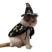 ハロウィン  ペットコスチューム  魔法のマント 猫  犬  変身コスチューム ペット用品