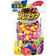 噛むブレスケア　パウチ　アソート 【 小林製薬 】 【 マウスウォッシュ 】