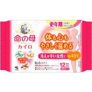 小林製薬 命の母カイロ 貼るタイプ 10個