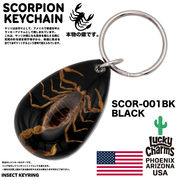 USA ARIZONA SCORPION DROP KEYCHAIN　スコーピオン　キーホルダー　アメリカン雑貨　お守り