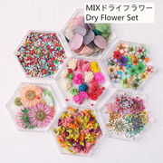 押し花 フラワーアソートセット MIX ネイルアート ハンドメイド 花材 ナチュラル ドライフラワー 封入物