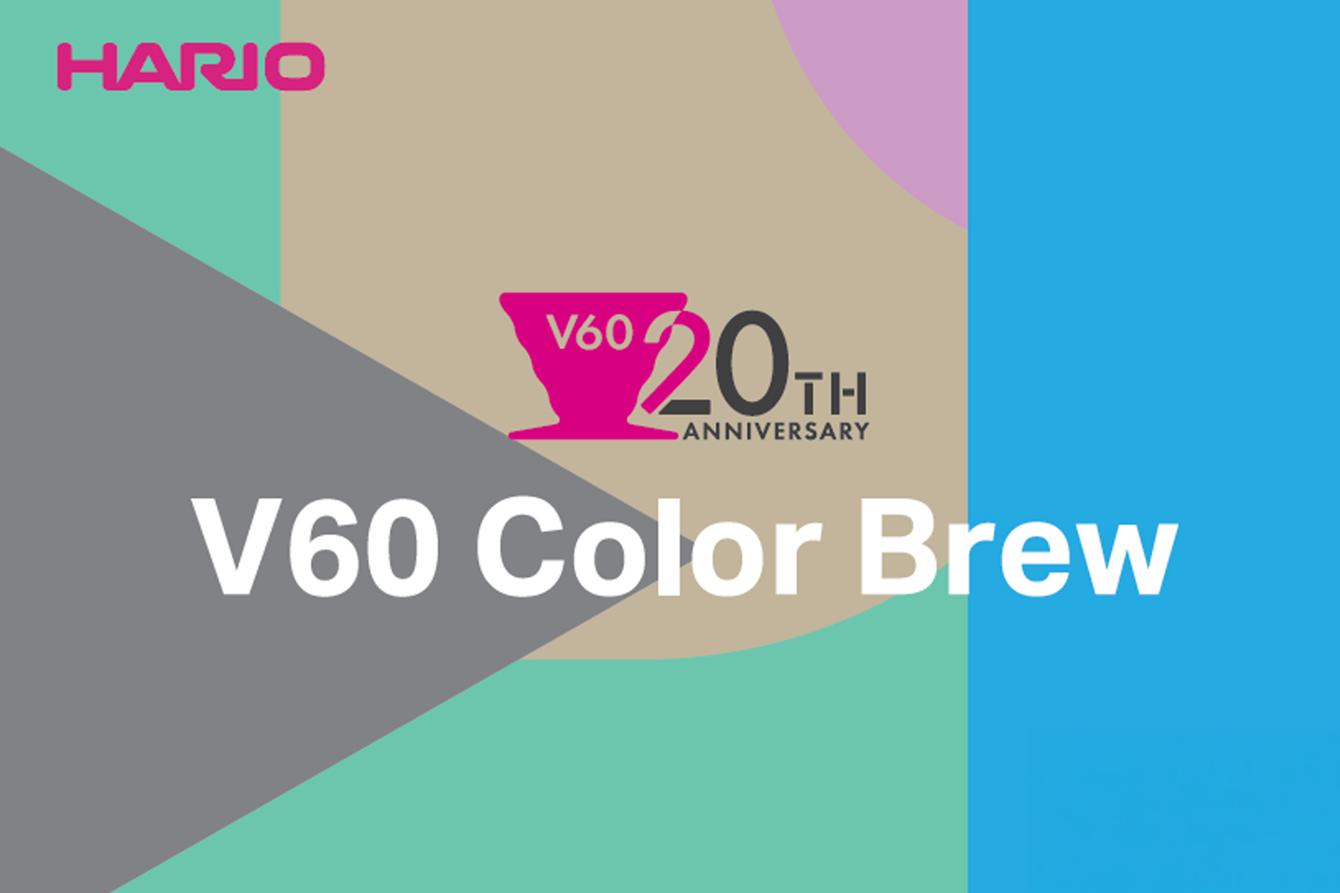 『HARIO』数量限定 V60カラーブリュー VCSD-01-20CP V60発売20周年記念(ハリオ)