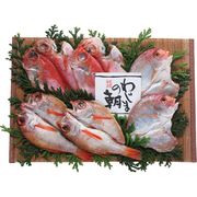 わじまの朝 赤魚セット（のどぐろ入り）