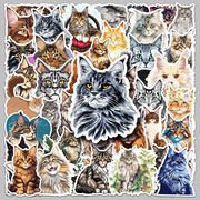 50枚入り かわいい メインクーン ステッカーパック 猫ステッカー ねこ ネコ 手帳素材 猫雑貨