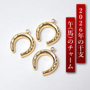 ステンレス製 チャーム 馬蹄 ホースシュー ジルコニア ゴールド ペンダントトップ 金属アレルギー対応