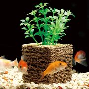 お魚天国バイオキューブ2個組