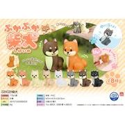 【９月頃入荷予定】ぷかぷか柴犬