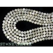 【丸ビーズ】真珠貝 8mm