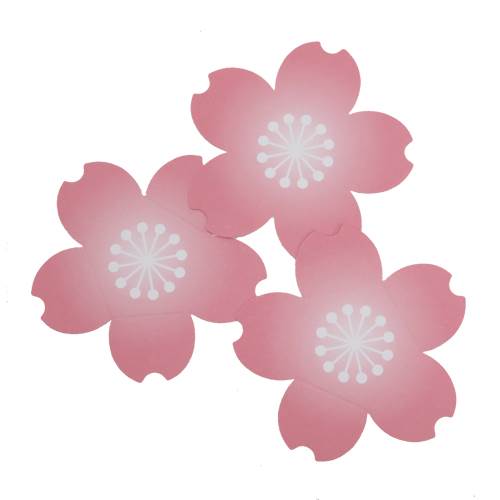 卒業祝い 寄せ書き メッセージカード 花咲くカード10枚セット 桜 雑貨 株式会社 ブライエンタープライズ 問屋 仕入れ 卸 卸売の専門 仕入れならnetsea