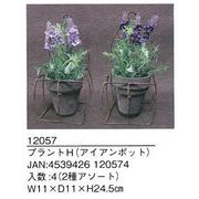 プラントH（アイアンポット）　ガーデニング/花壇/鉢植え/庭