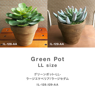 枯れない植物で作る手軽な癒し空間【グリーンポット・LL-ラージエケベリア/ラージセダム】