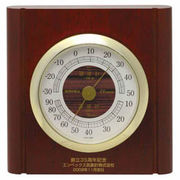 EMPEX 温度・湿度計 ルームガイド 温度・湿度計 置き掛け兼用 TM-713