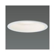 LEDダウンライト 取付穴φ125mm FHT16W相当 昼白色相当