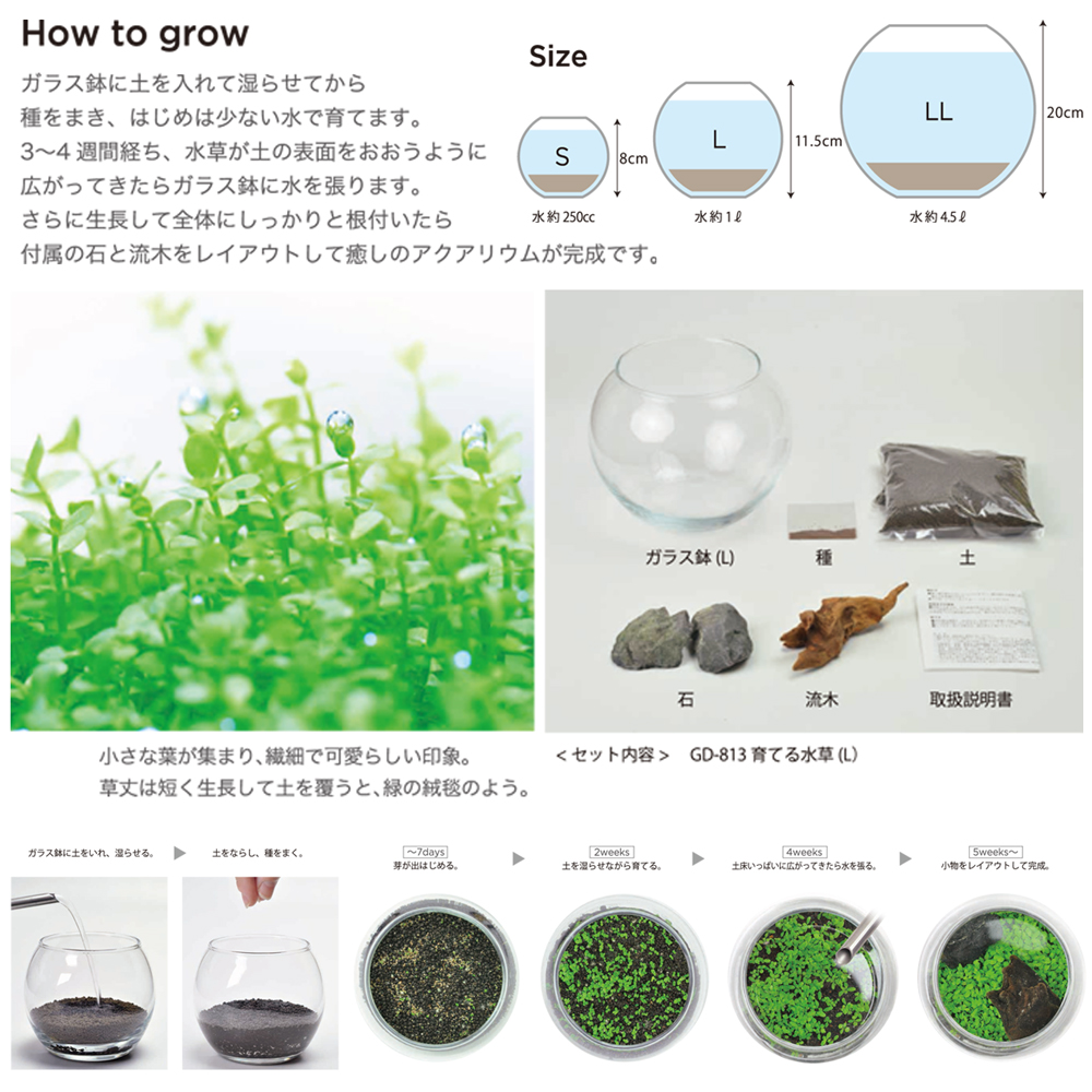 栽培セット 育てる水草 L 雑貨 株式会社 トコトコ 問屋 仕入れ 卸 卸売の専門 仕入れならnetsea