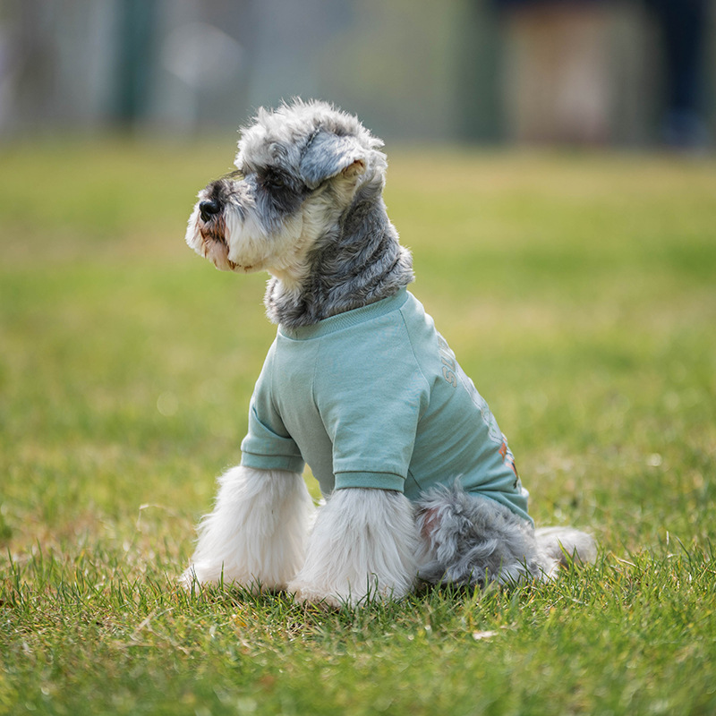 犬服 夏用 ペットウェア ドッグウェア かわいい ペット用品 インスタ映え 小型犬 中型犬 雑貨 香山 株式会社 問屋 仕入れ 卸 卸売の専門 仕入れならnetsea