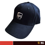 UPS AMERICANA CAP