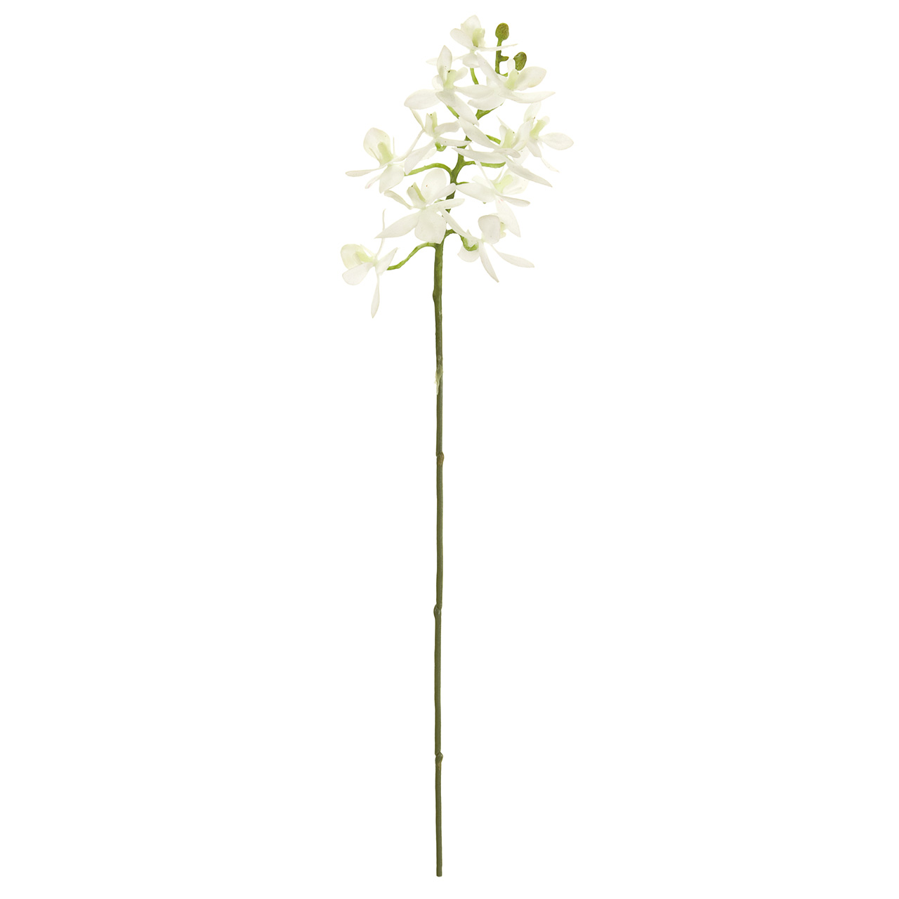 MAGIQ　ルシアファレノ　ホワイト　アーティフィシャルフラワー　造花　お正月　胡蝶蘭　ファレノ
