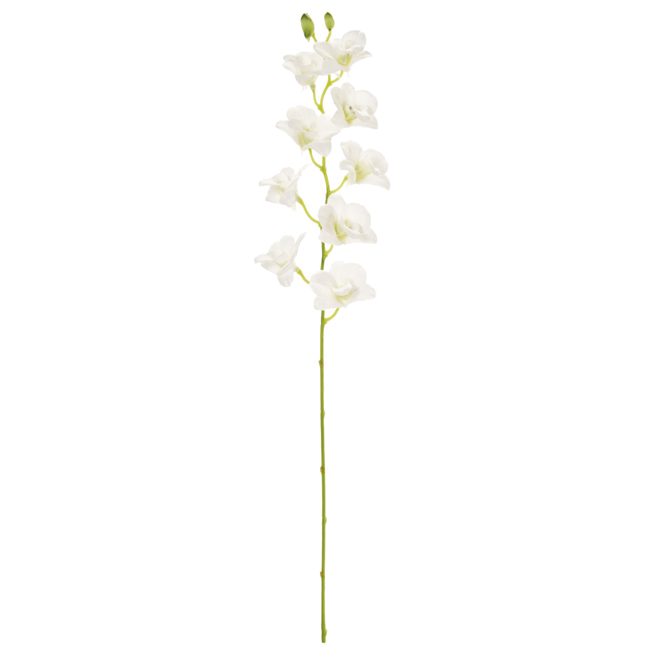 MAGIQ　ピュアデンドロビウム　ホワイトグリーン　アーティフィシャルフラワー　造花　蘭