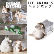 ■キーストーン■　ICE ANIMALS　へッジホッグ