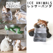 ■キーストーン■　ICE ANIMALS　レッサーパンダ