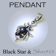 CSs 4-1687 ◆ Silver925 シルバー ペンダント  ブラックスター