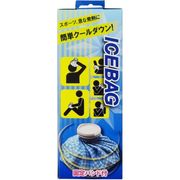 CareFast ＣＡＲＥＦＡＳＴアイスバッグ M