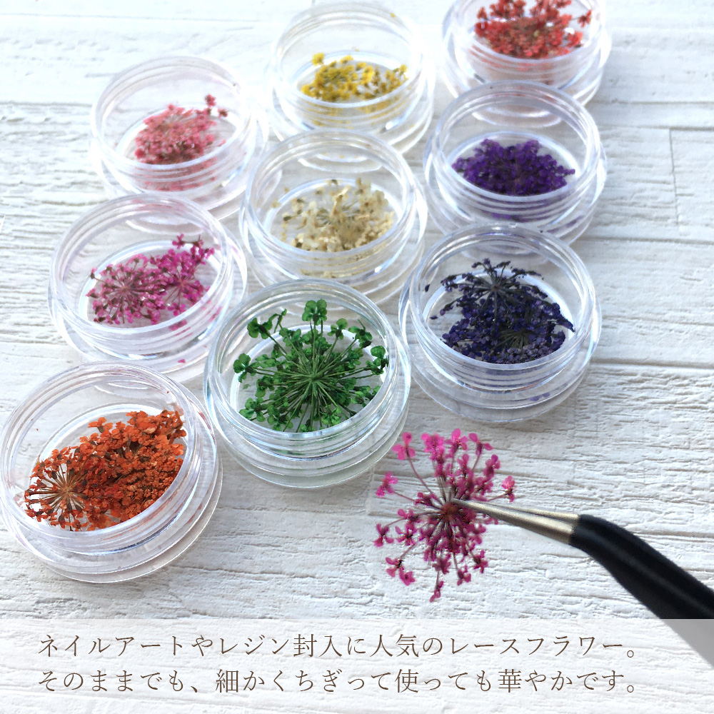 ネイル レースフラワー 全９色 ドライフラワー 押し花 レジン ハンドメイド 美容 健康 Only Sweet Nail 問屋 仕入れ 卸 卸売の専門 仕入れならnetsea