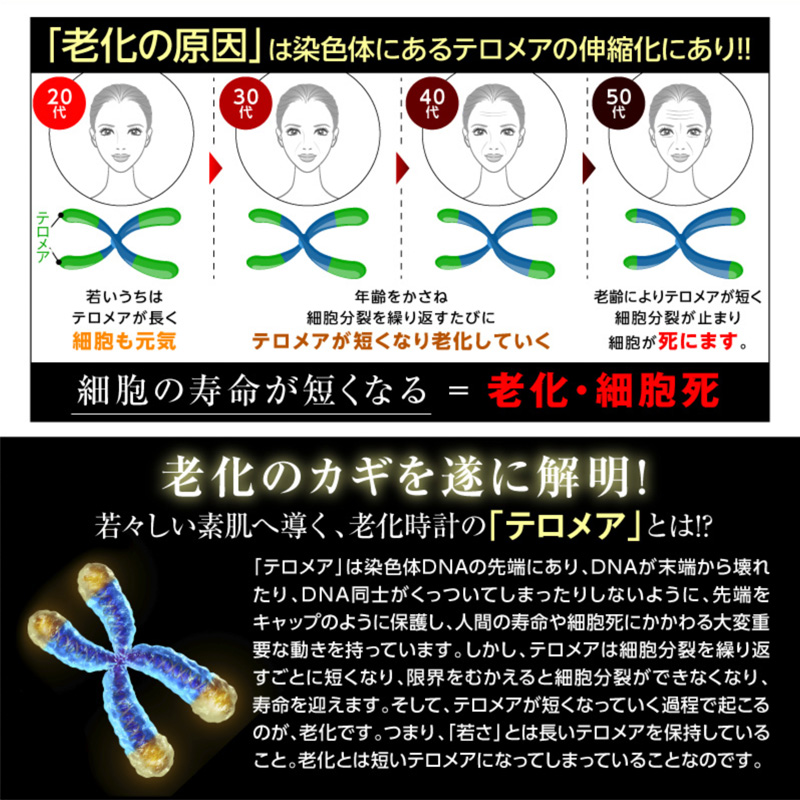 グラセル ディープモイスチャービューティーセラム 株式会社 H&Cプロダクツ 問屋・仕入れ・卸・卸売の専門【仕入れならNETSEA】