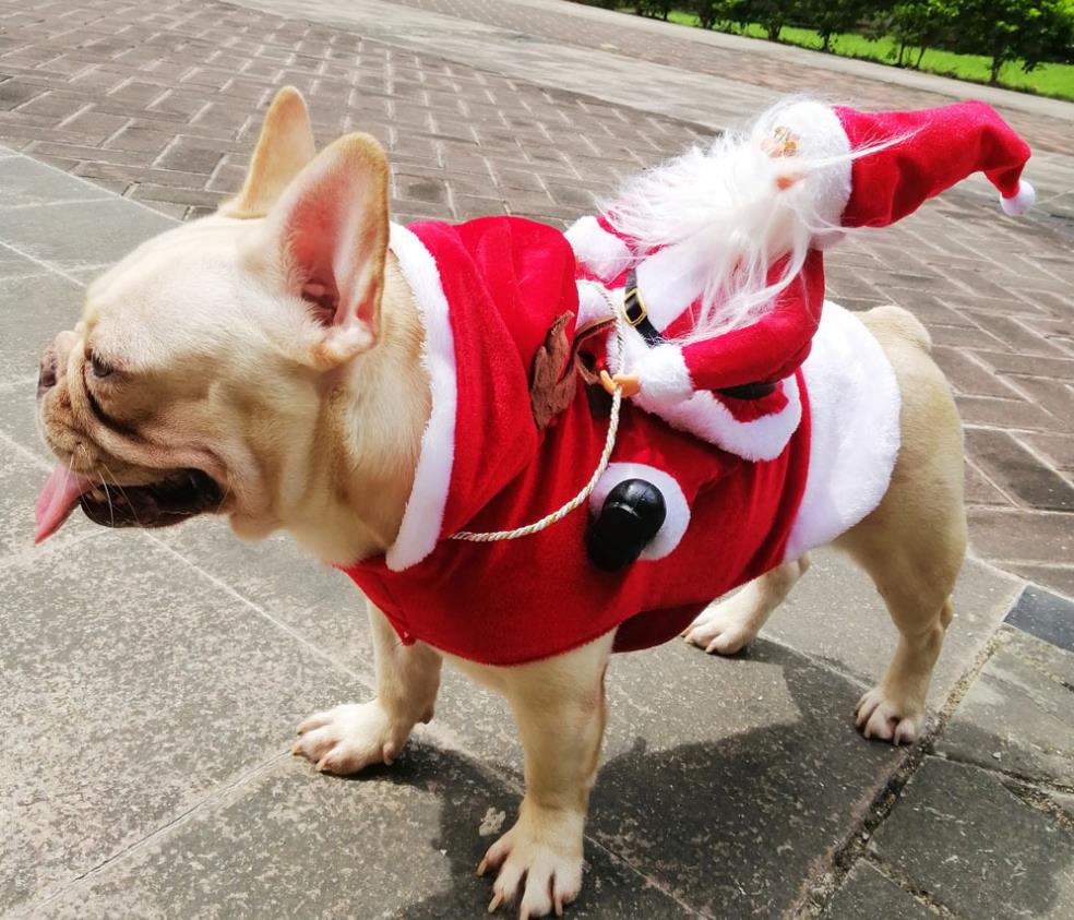 Christmas クリスマスコスチューム コスプレ ペット犬クリスマス服s Xl 雑貨 Ado 合同会社 問屋 仕入れ 卸 卸売の専門 仕入れならnetsea