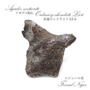 【一点物】 アガデス隕石 ニジェール産 ナイジェリア産 普通コンドライト L5-6