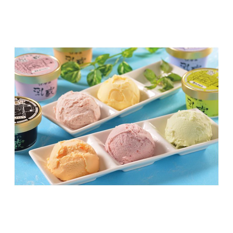 乳蔵アイスクリーム5種 16個 110035（送料無料）【直送品】