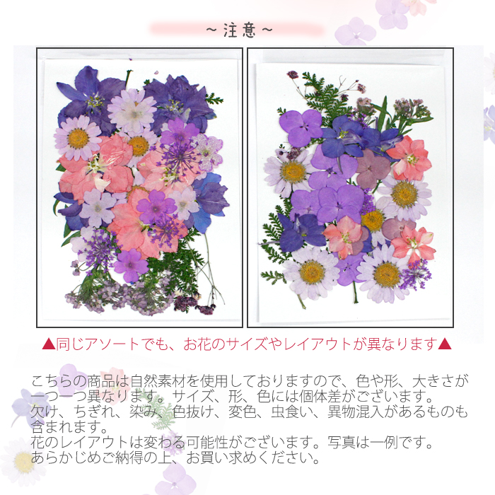 ◎押し花素材 ペールトーンピンク◎ - 各種パーツ