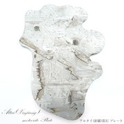 【一点物】 アルタイ隕石 新疆隕石 プレート Altai (Xinjiang) meteorite Plate