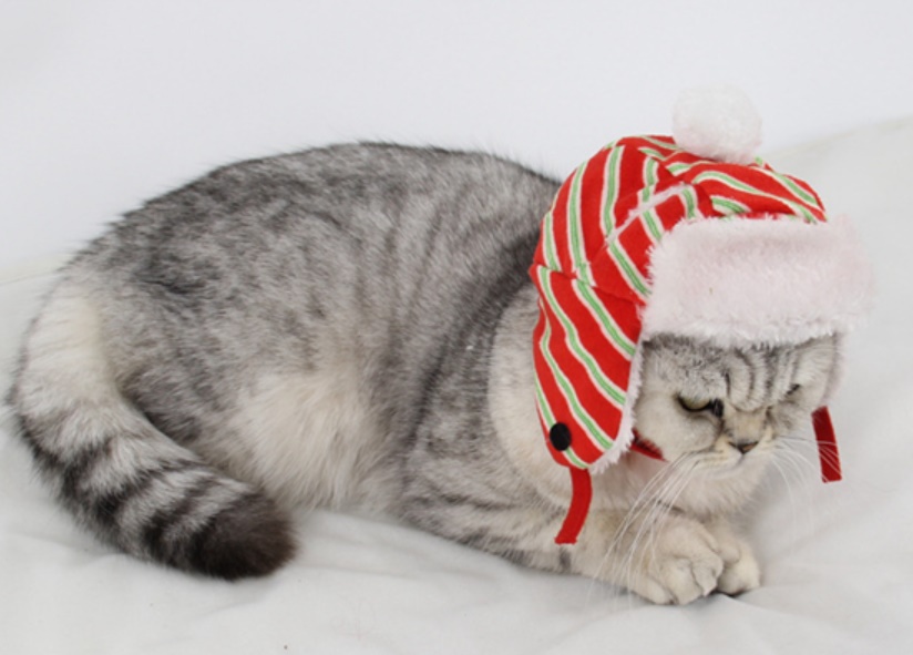 ◆◇超萌え！◆ベット変身帽◆◇ペット用品◇◆犬用帽子◇◆犬のハット◇◆ベット帽子◆猫用◇クリスマス