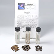 隕石 メテオライト Meteorites 3カ国 アルゼンチン ロシア モロッコ【ランダム発送】