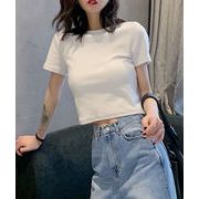 Ｔシャツ 半袖 ブラウス 細身  夏ファッション レディース