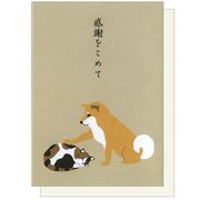 サンキューカード・柴田さんと三宅さん GS-184（柴犬、三毛猫、イヌ、ネコ）