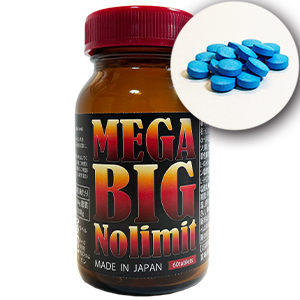 MEGA BIG Nolimit(メガビッグノーリミット)2024.06 株式会社 はやた