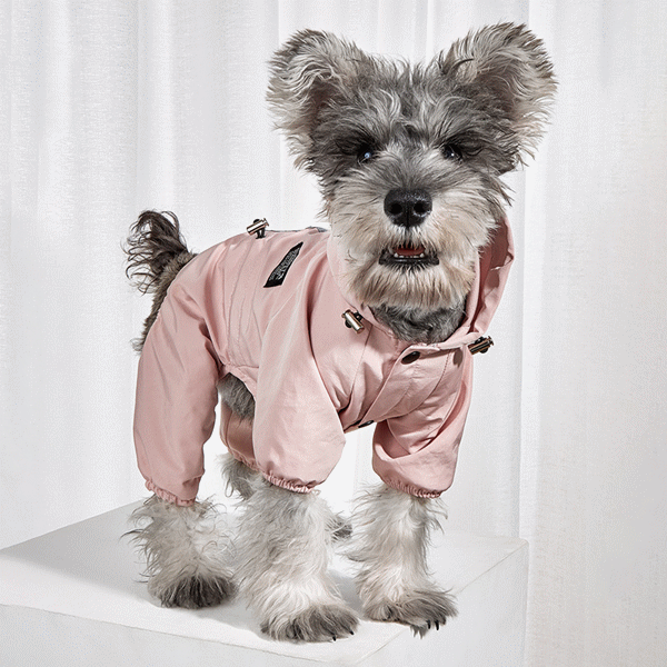 2021新作 レインウェア 犬服 ペット服 ドッグウェア ペットレーンコート イヌ服 ペット用品
