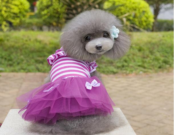 ペット服 犬服 ワンピース 春夏 ペット用品 ドレス　新作 小型犬服 超可愛い 結婚式 ドッグウエア