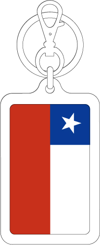 【選べるカラー】KSK368 チリ CHILE 国旗キーホルダー 旅行 スーツケース